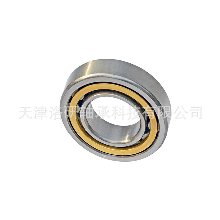 德国高载荷轴承 N330-E-M1机床主轴圆柱滚子轴承