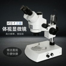 ݾSĿBm׃wʽ@΢R XTZ-T 㲿