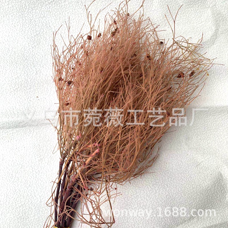 微信图片_20200527195313