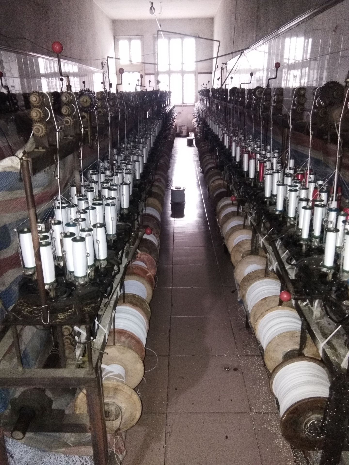 mmexport1585964709063