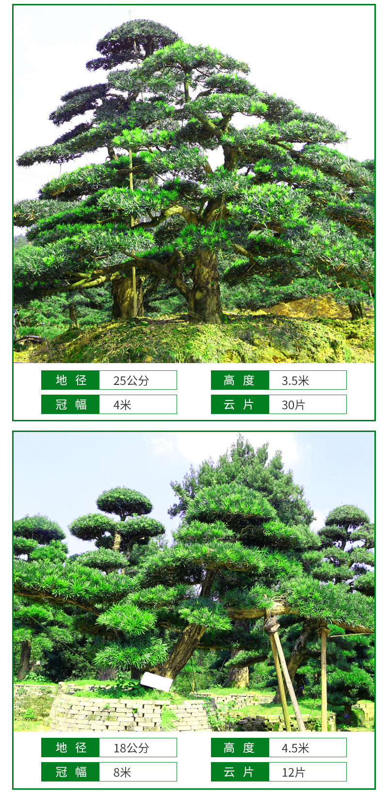 �޺���-����_10