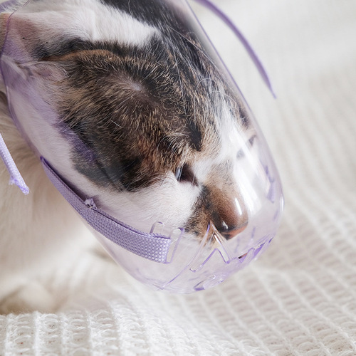Amazon cat mask cat bite prevention cat bath bag injection cat collar head cover