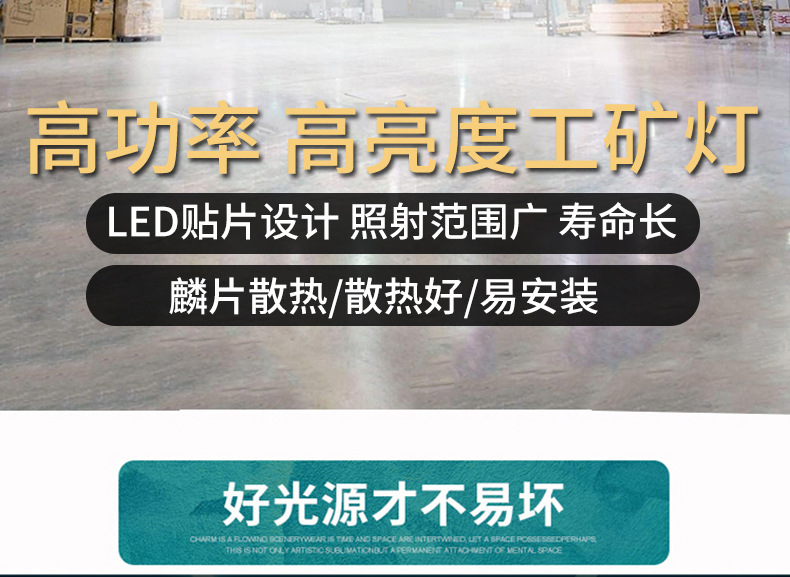 xin1_02.jpg