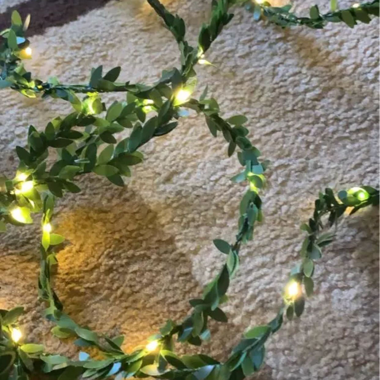 QQ图片20201129082620