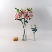 百合树 百合树品牌 图片 价格 百合树批发 阿里巴巴