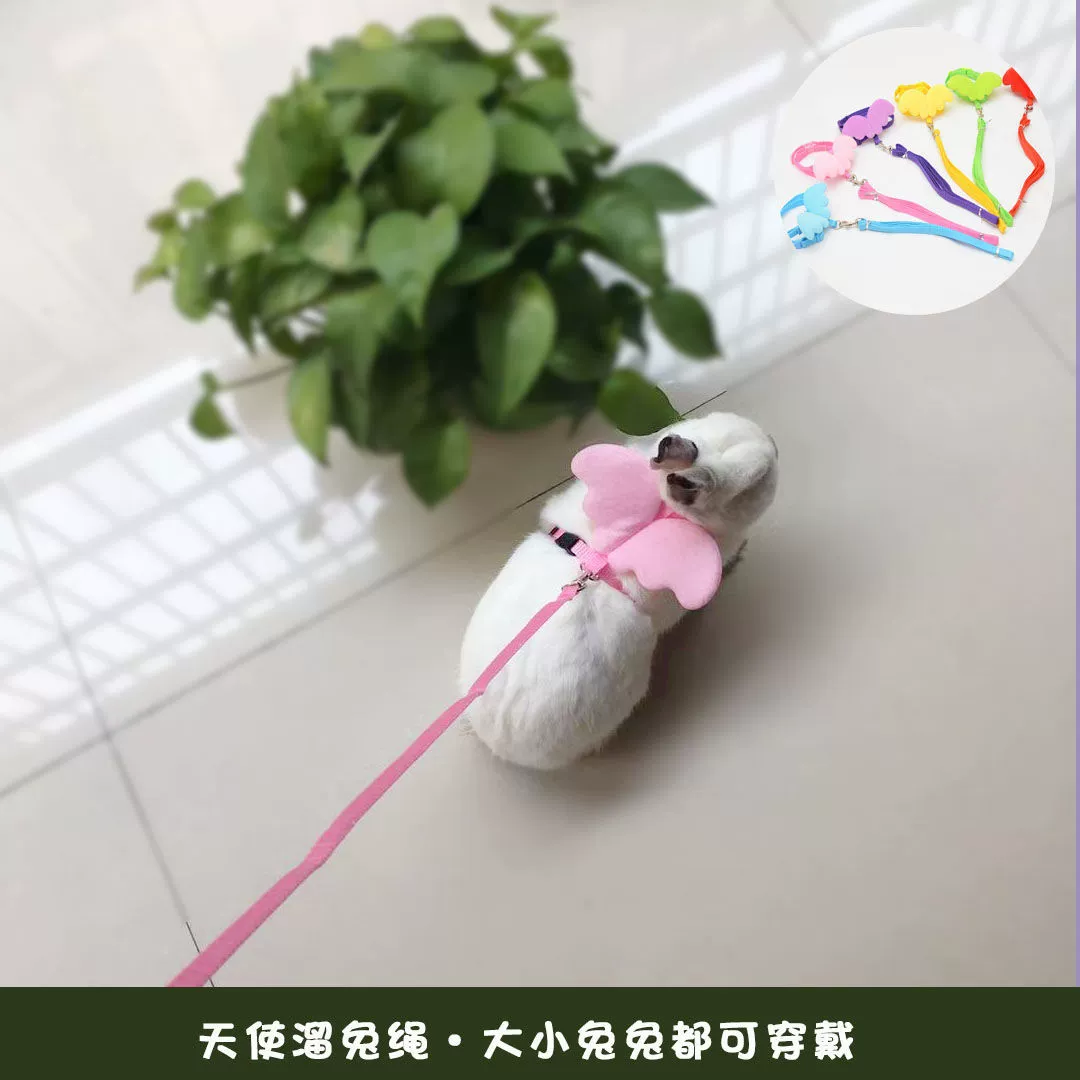 Домашнее животное кролик поводок Тяговая веревка Белл Ангел крылья кролик веревка Прогулка веревка бумажная карта нагрудный ремень