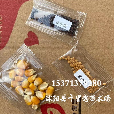 provide seed To subcontract Small package Catnip foodstuff Flowers Vegetables Self sealing bag machine Plastic sealing Burden incoming machining