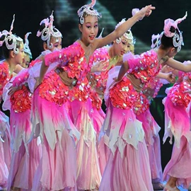 儿童表演服;舞台/表演服;其他民族服饰