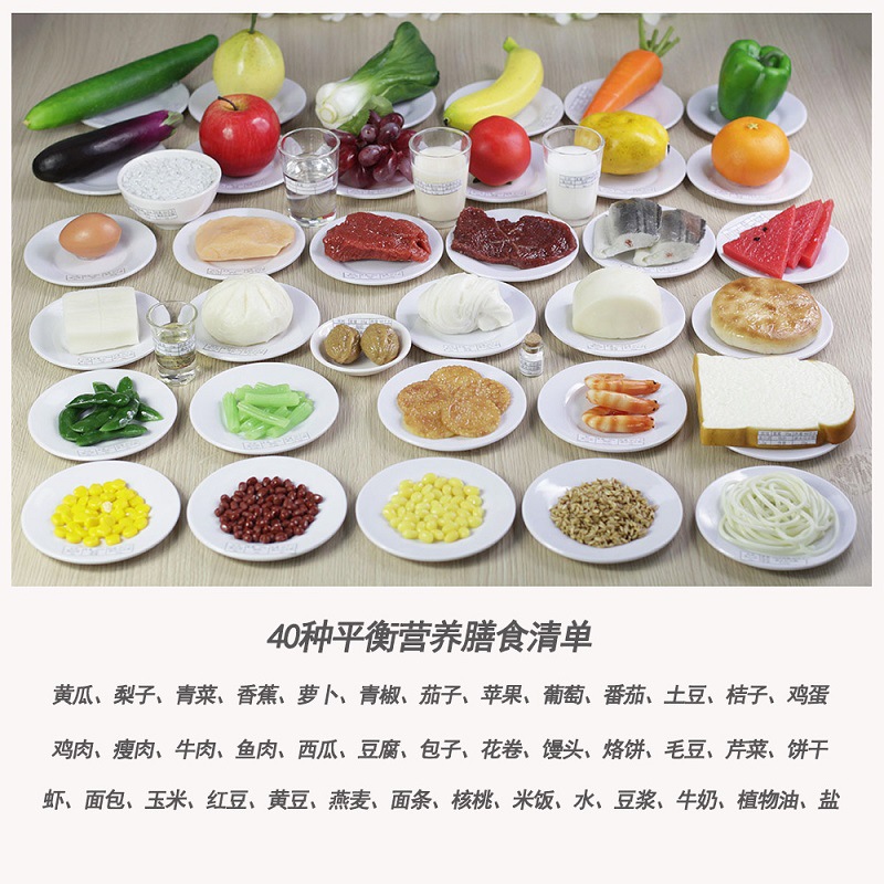 厂家直销膳食宝塔模型金字塔居民健康饮食营养均衡食物交换份道具