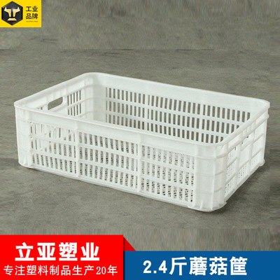 2.4斤蘑菇筐厂家批发蔬菜水果筐全新料白色塑料蘑菇收纳筐周转筐