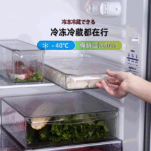 冰箱收納盒pet透明儲物盒廚房收納盒塑料餃子雞蛋盒食物保鮮盒