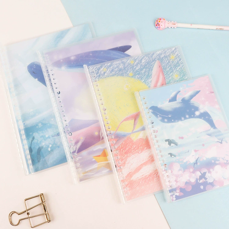 Stationery, suitcase, matte removable accessories, 5b, tear-off sheet