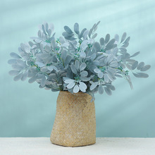 Gֲ9~ ֲcb~ ҾbGֲ