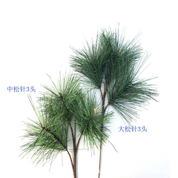 大松针3头3.jpg
