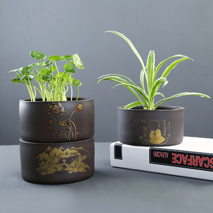 ��ɰֱͲ����ˮ��ˮ�ɻ��~�X��ֲ��Gֲ�o�׻������ԶU����Ȥ����