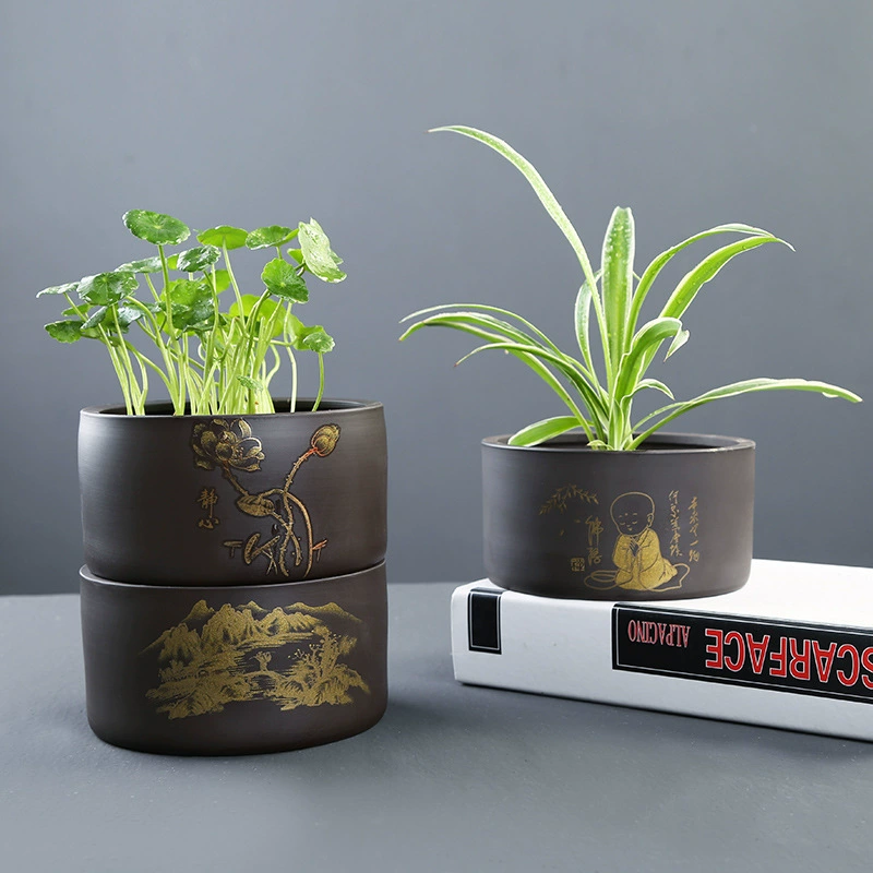 Фиолетовый песок прямая личность гидропонная установка зеленое растение без отверстий в горшке