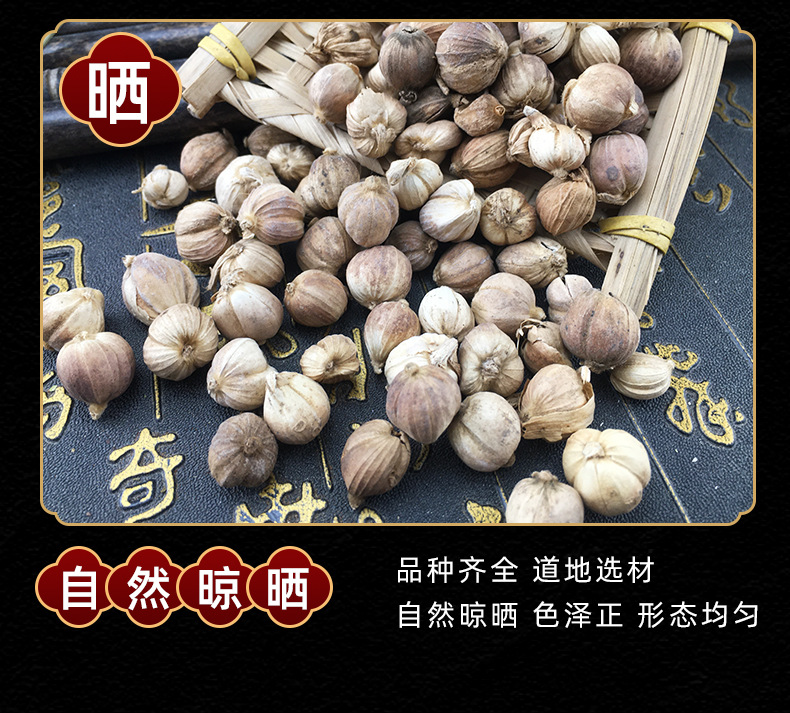 White Cardamom Bai Dou Kou 500g Dried Amomum Kravanh Fruit for Cooking and Herbal Use quality and texture