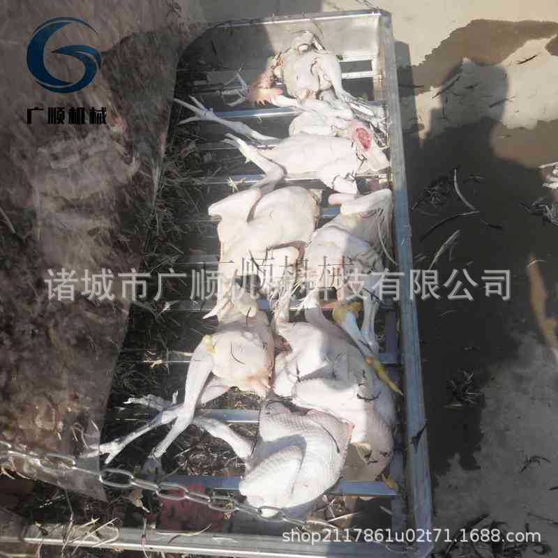 现货全自动家禽烫脱一体机 厂家可定制新款鸡鸭烫脱褪毛机