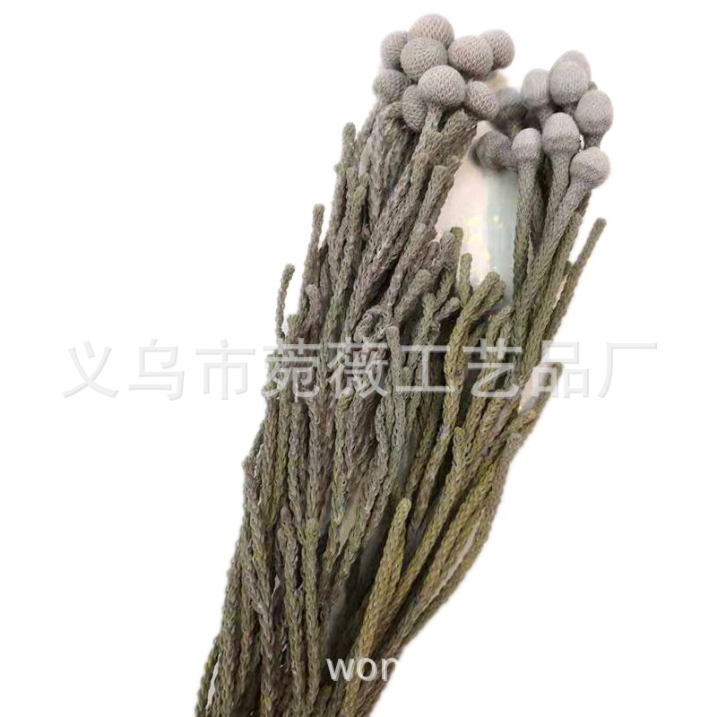 9874756934_1583333284