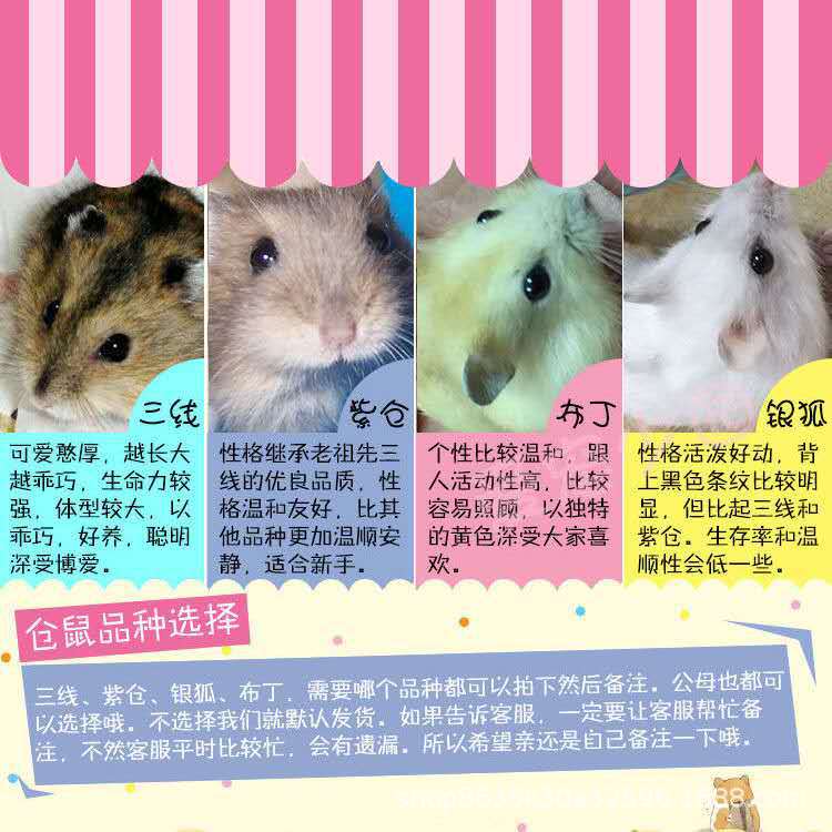 4f82a82815e7966e185c94e83388e0