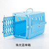 Small transport, airplane, pet, cat, kitten, wholesale