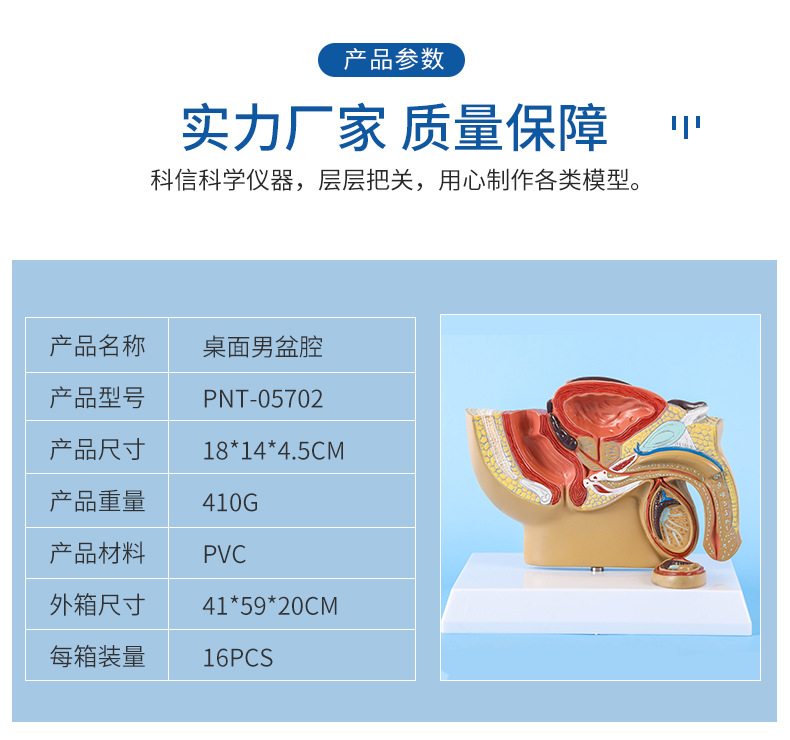 龙王殿第二季