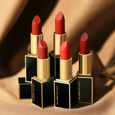 FSC Lipstick Easy Fade Lasting Moisture Lipstick tomato student Lipstick wholesale