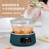 Electric cookers Electric slow cooker Glass Bird&#39;s Nest Ganoderma lucidum Tea Health pot intelligence Soup Porridge Complementary food 3L High-capacity