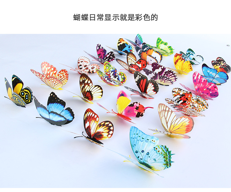 蝴蝶装饰