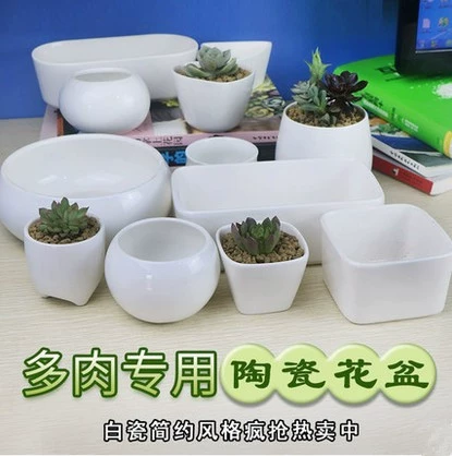 Мясистый цветочный горшок для растений Креативный мясистый Простой прямоугольный мясистый цветочный горшок Белый фарфоровый горшок Мясистый горшок Специально для мясистого горшка