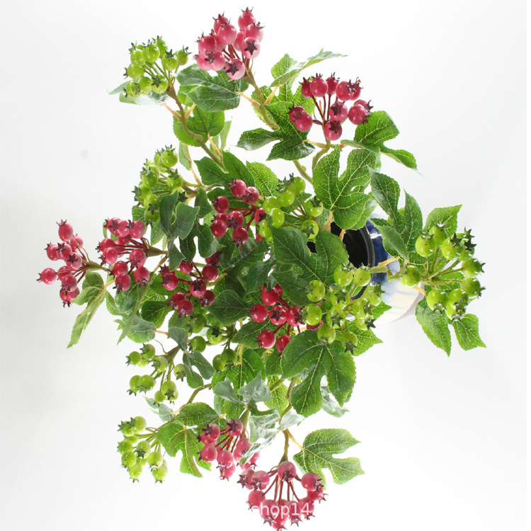 XRG-005 3叉小山楂果60厘米 (9).jpg