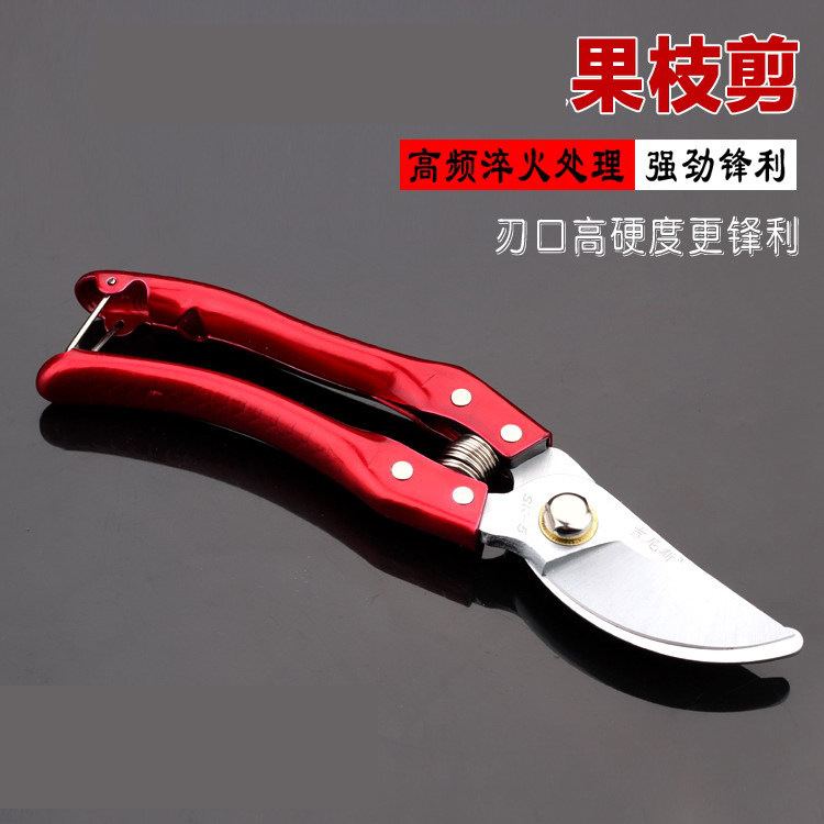 热销园林工具修枝剪家用果枝剪刀吉尼斯园艺树枝剪刀剪定夹果枝剪