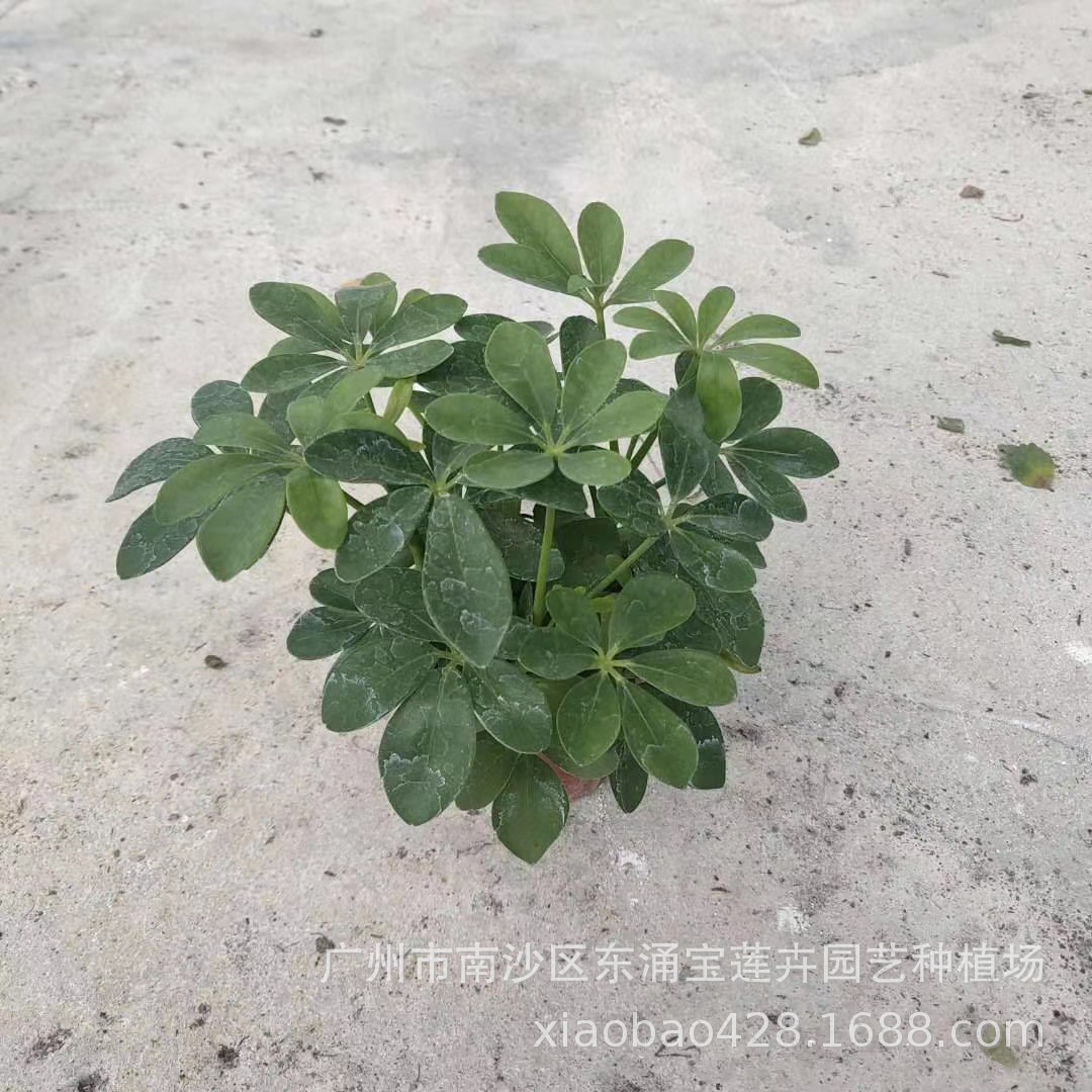 mmexport1592724233987