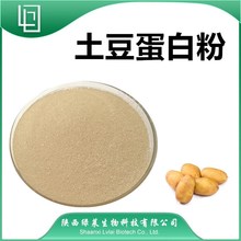 土豆蛋白粉 90% 马铃薯蛋白粉 马铃薯提取物 陕西绿莱 量大从优