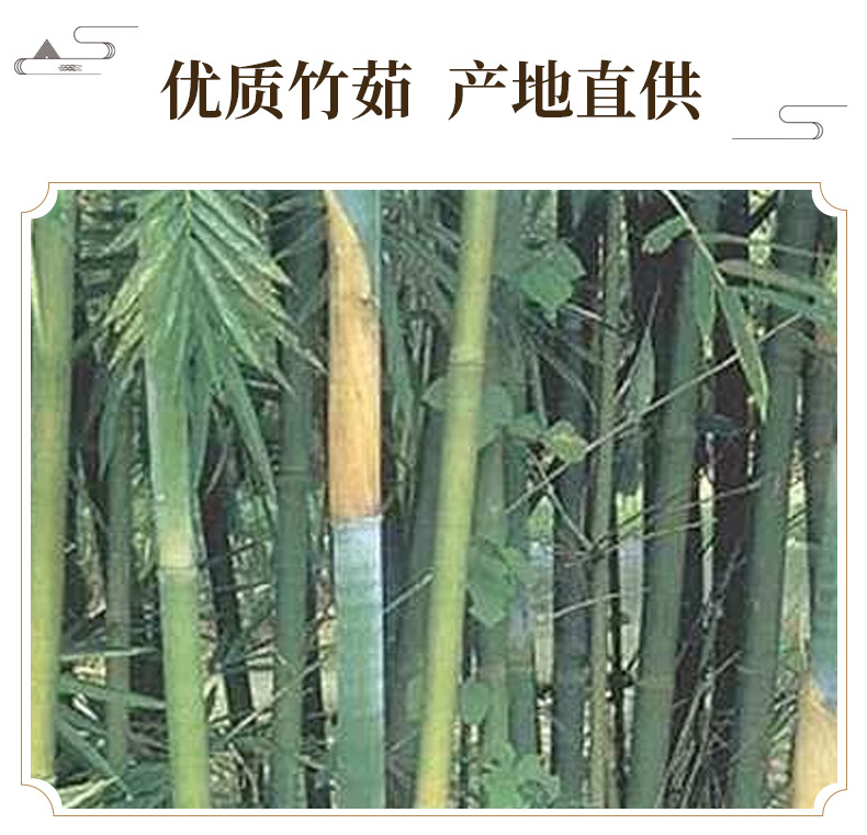 Zhu Ru Bamboo Shavings Balls 500g Dried Herb for Decoction and Tea key features