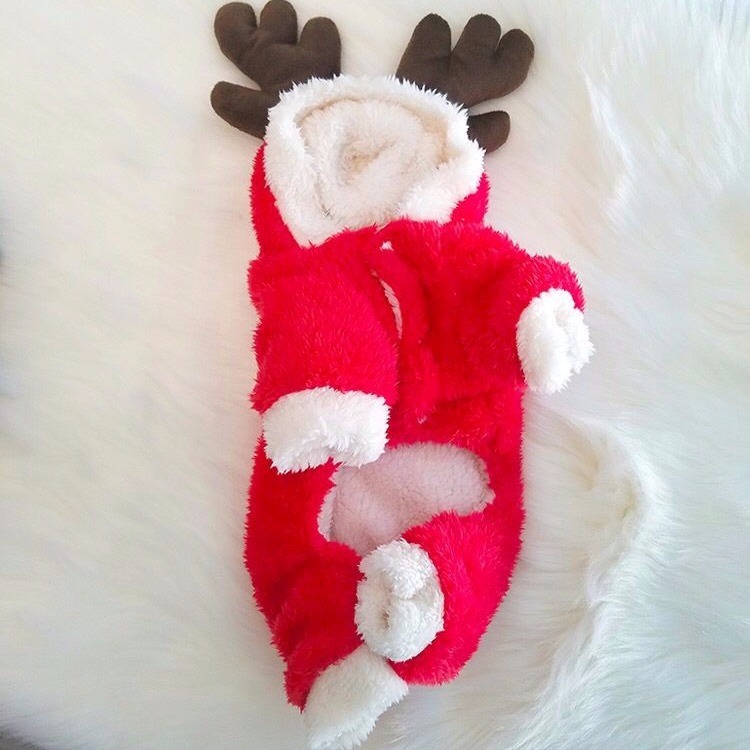 【四腳加絨】泰迪貓狗狗雙層衣比熊寵物通用雪納瑞幼犬秋冬裝加絨
