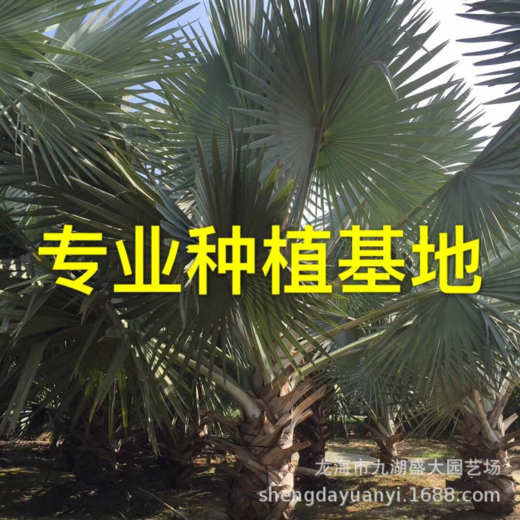 IMG_5568(20200225-132056)