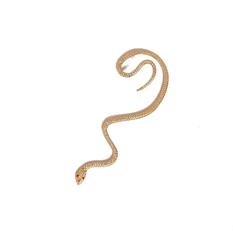 New Snake-shaped Earrings display picture 4