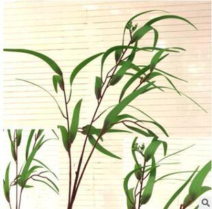 ����3D�ָ��ȼ����~��֧�A�����ΰ����~���X�~���~�zӰ����