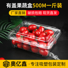 一次性水果盒一斤装 保鲜有盖草莓盒车厘子pet透明塑料包装盒加厚