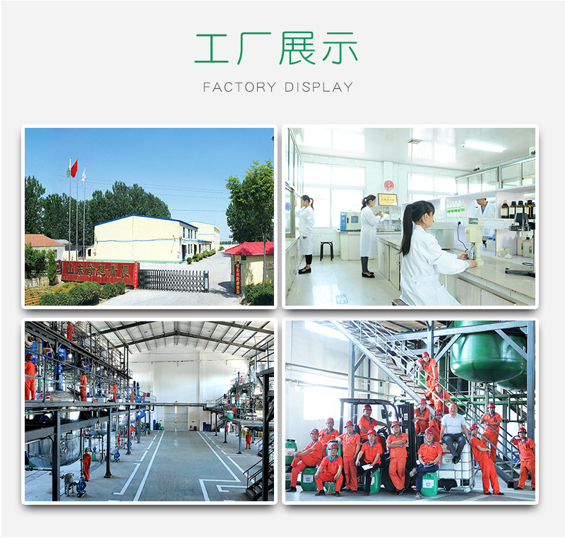 裱糊胶_11.jpg