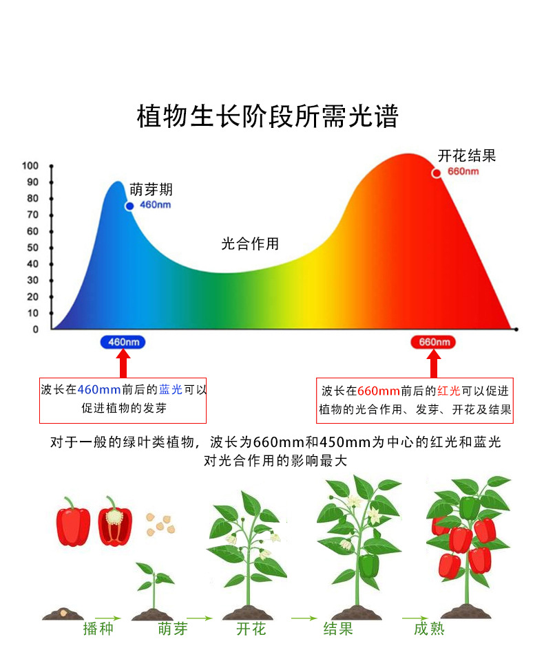 宽头植物灯详情页中文_05.jpg