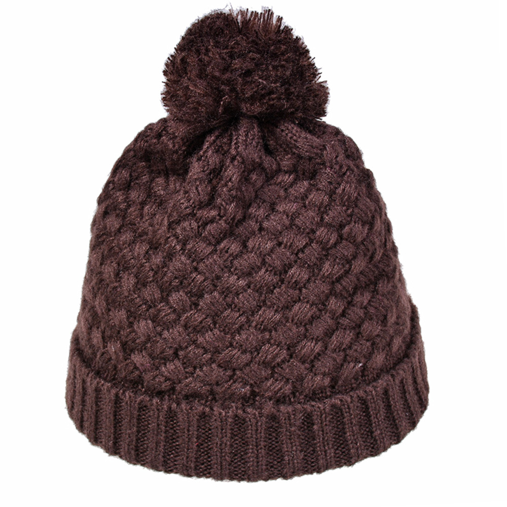 Women's Simple Style Solid Color Pom Poms Flat Eaves Wool Cap display picture 1