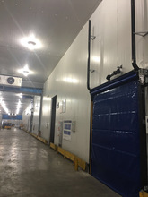 快速開啟的保溫卷簾門 用於食品冷庫、廠家直銷冷藏庫PVC快速門