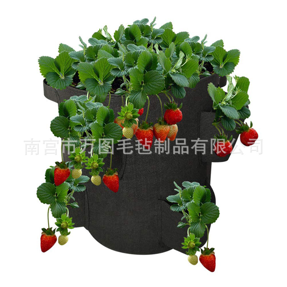 彩色种植袋多口蔬菜草莓种植袋ebay3/ 6/8口植物袋毛毡布香草袋