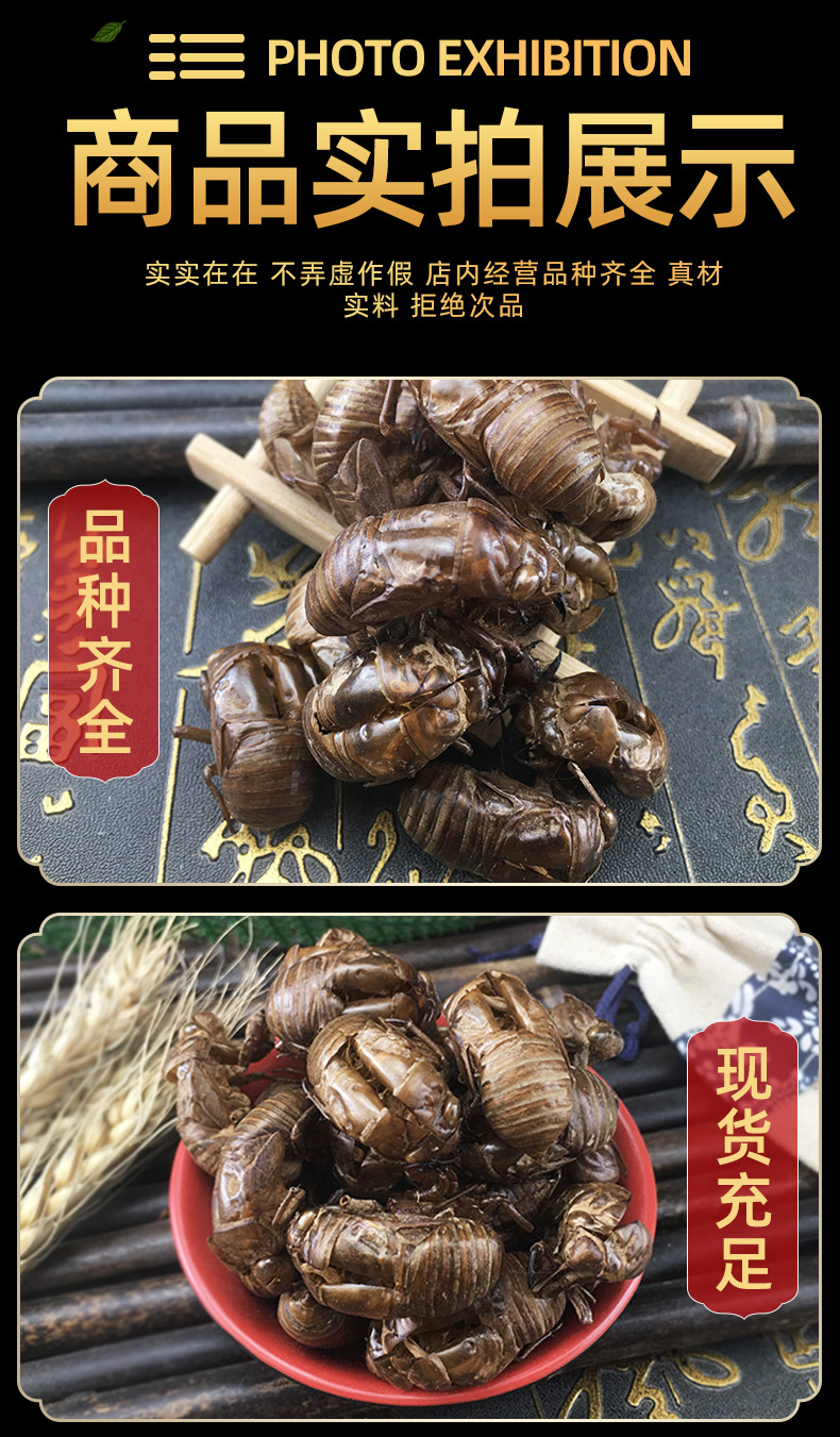 Cicada Slough Chan Tui 蝉蜕 Dried Whole Molts Traditional TCM Herb 500g Washed and Sun Dried in use