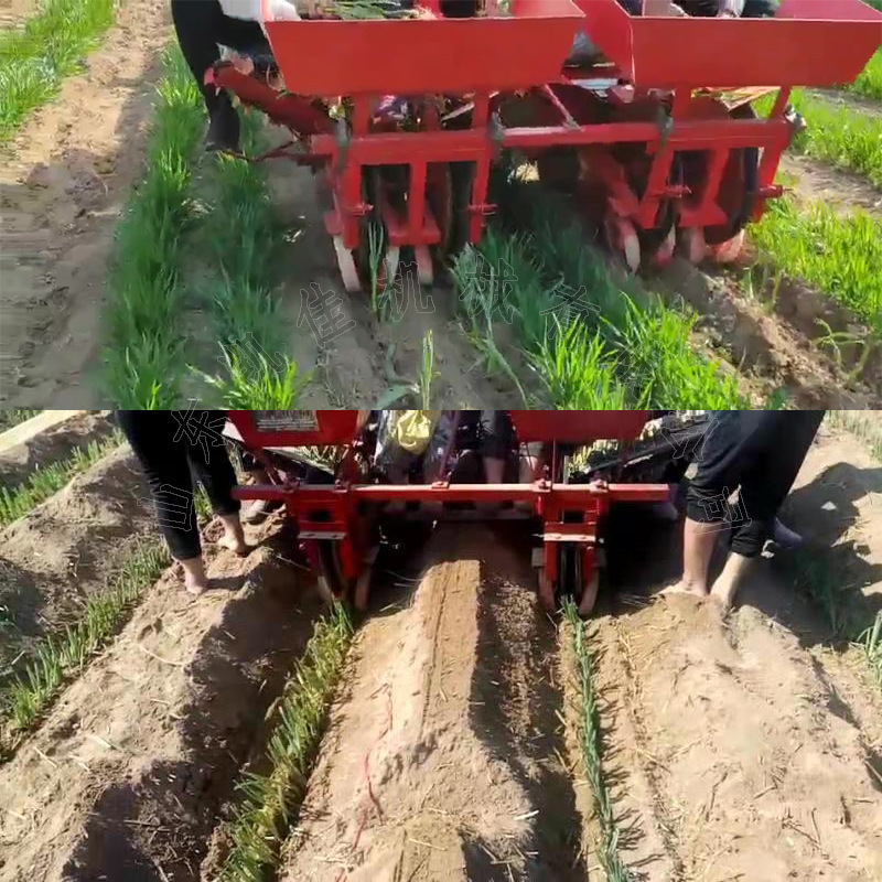 胡葱秧苗栽种机18马力拖拉机带动大葱移栽机 农作物葱苗种植机