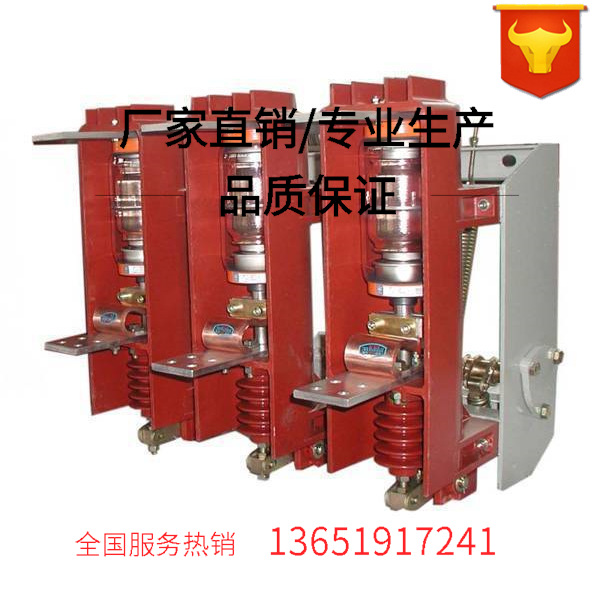 ZN63(VSI)-12/630-25户内高压真空断路器固定式