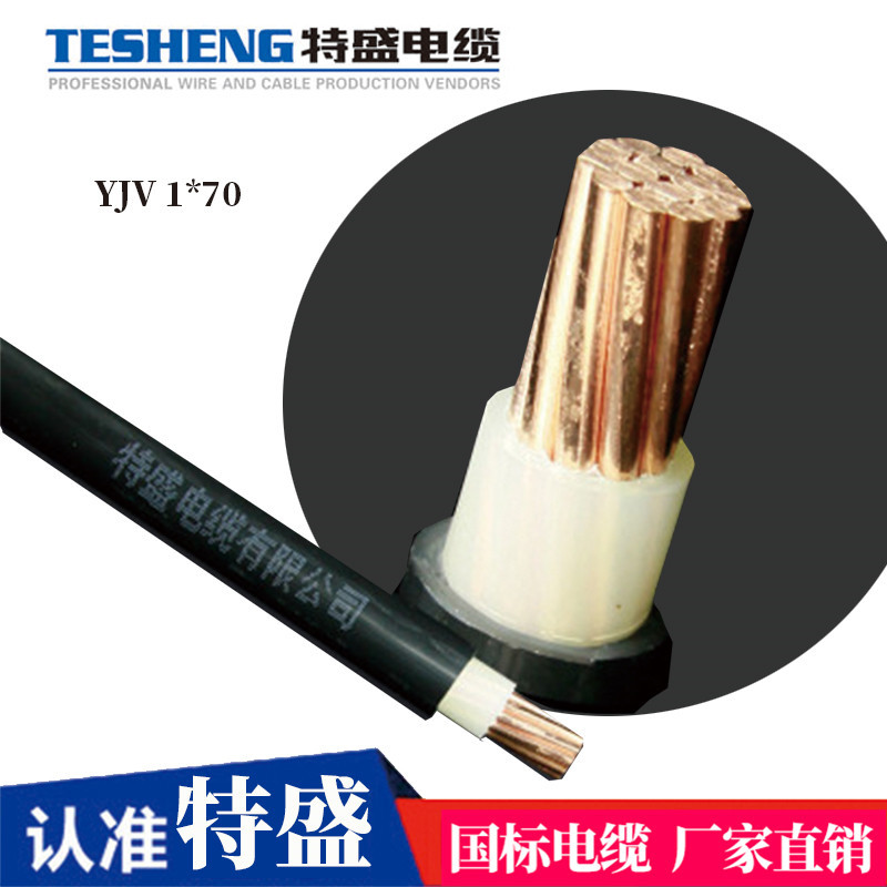 单芯YJV 1*70平方铜芯电缆线规格型号特盛  电力电线 电缆