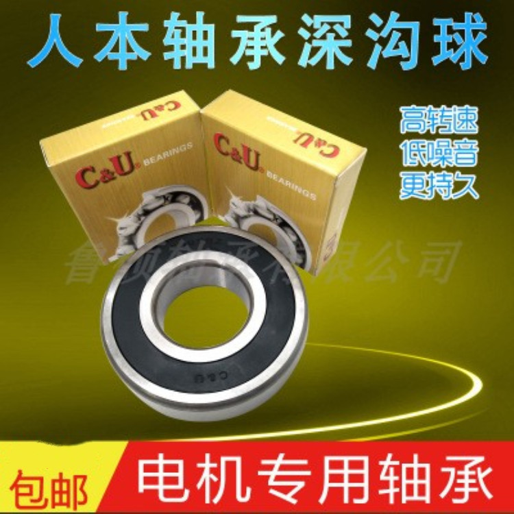 人本电机轴承6204 6205 6206 6207 6208 6209 6210 6211 6212RZZ3|ru